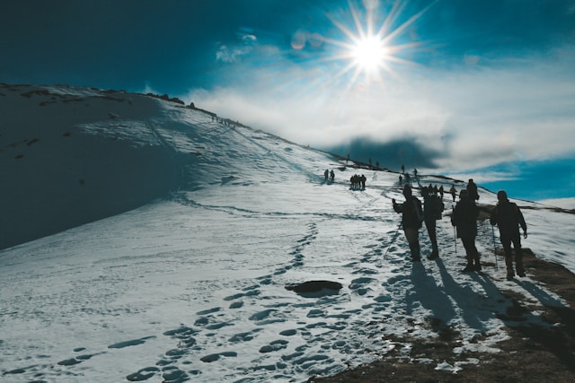 neha-maheen-mahfin-SbCqwxc9-Cg-unsplash (1)